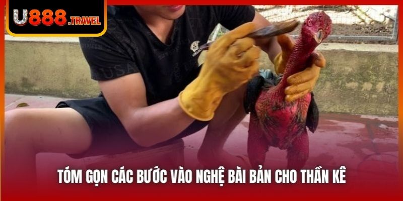 Tóm gọn các bước vào nghệ bài bản cho thần kê